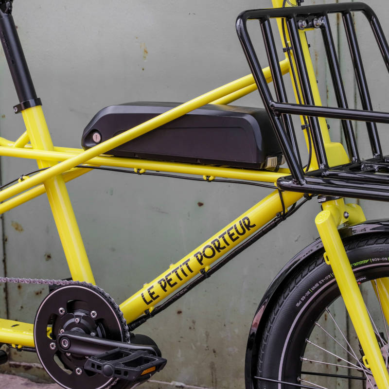 Longtail Jaune