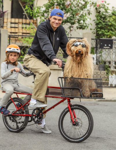 Transporter son chien à vélo
